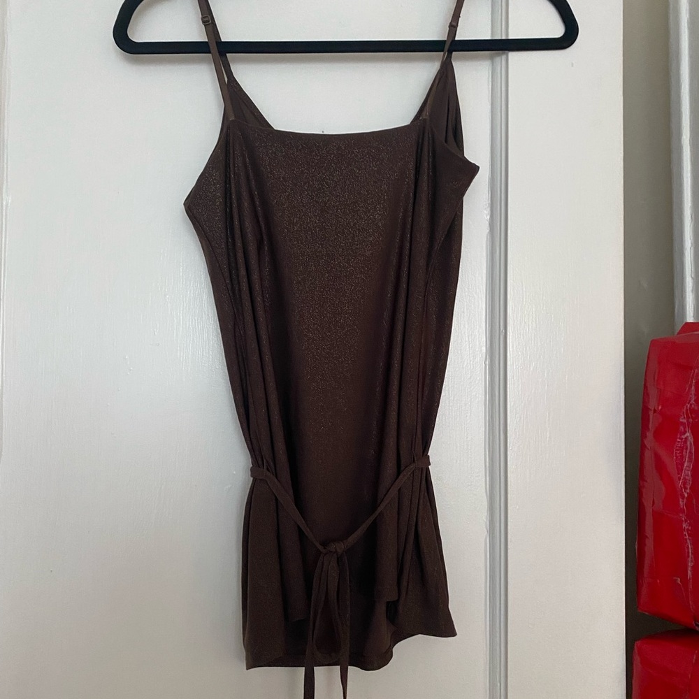 Express Brown Sparkly Top